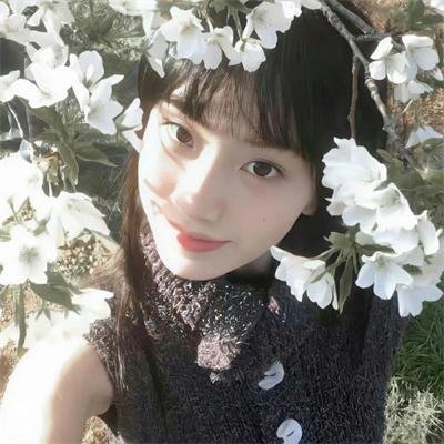 二八佳人花公子