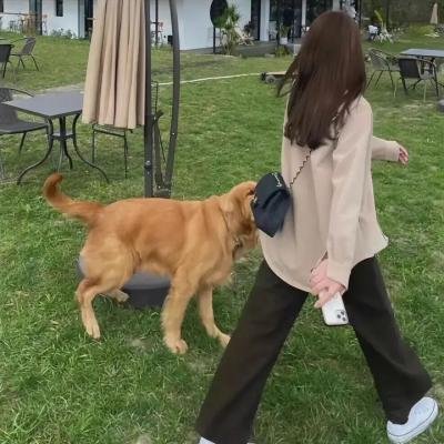 春天里